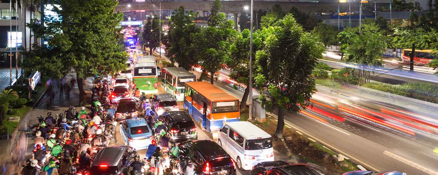 RIP-OFFS-SAFETY AquaStash