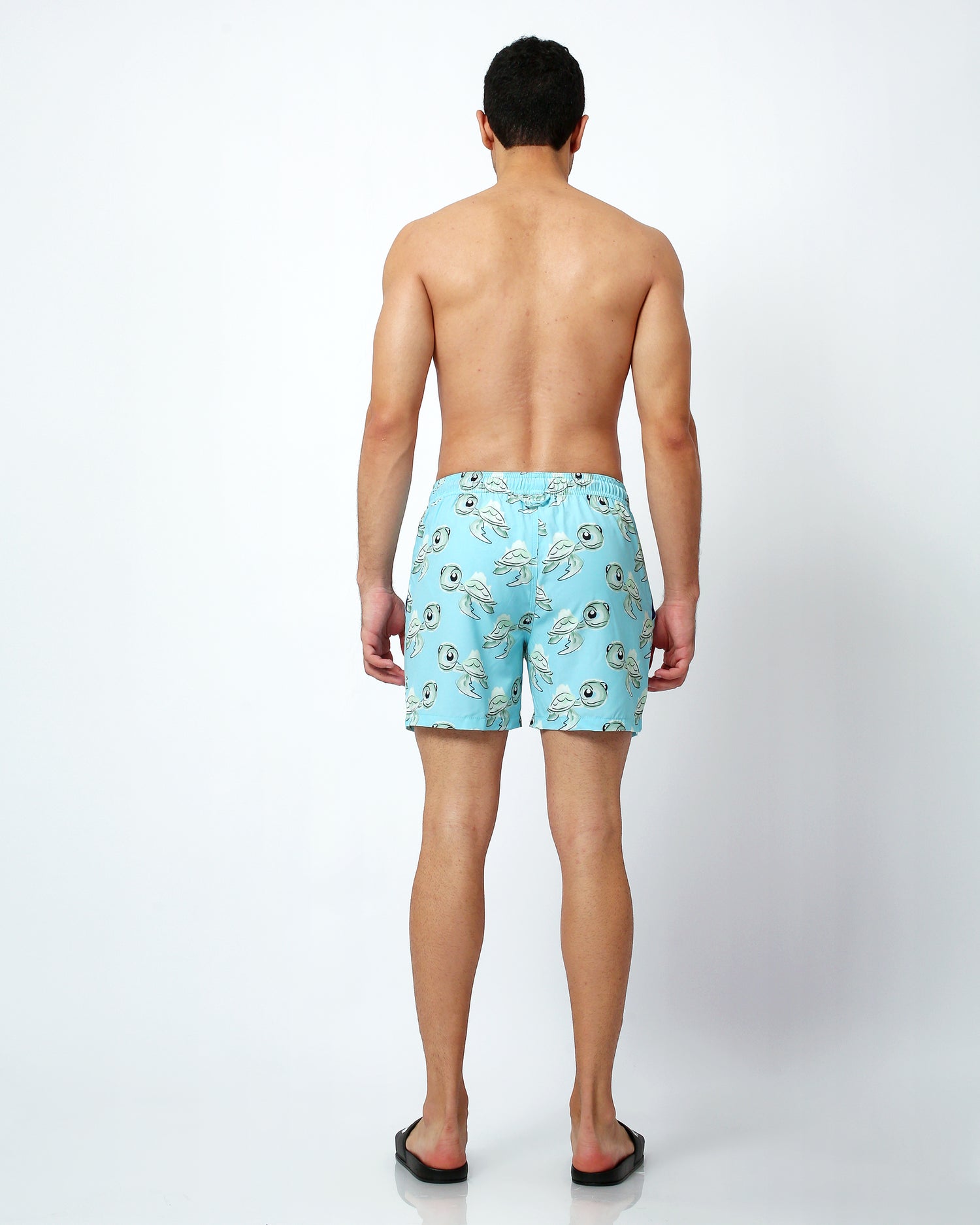 turtle pattern mens swim shorts